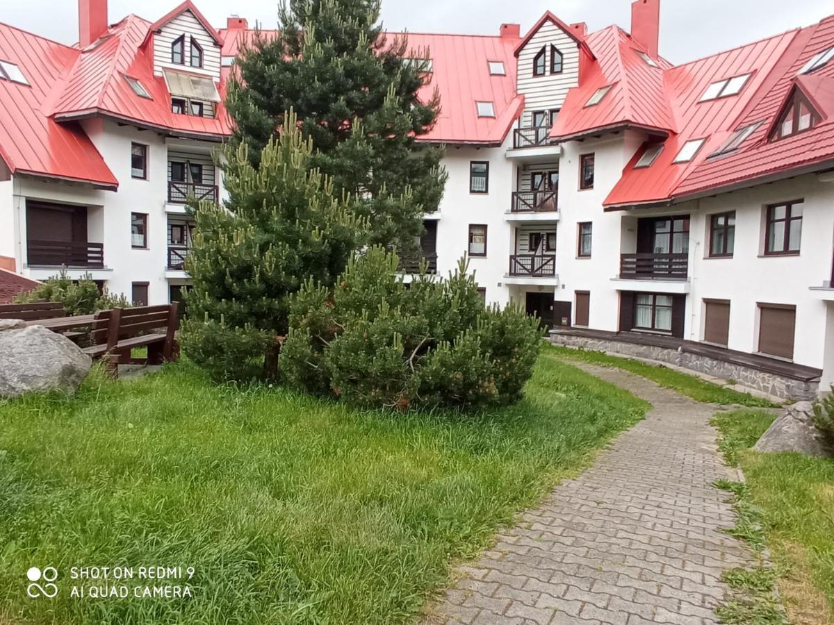Apartmán Violeta Harrachov Exterior foto