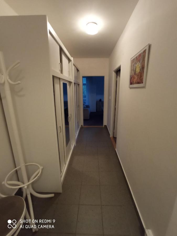 Apartmán Violeta Harrachov Exterior foto