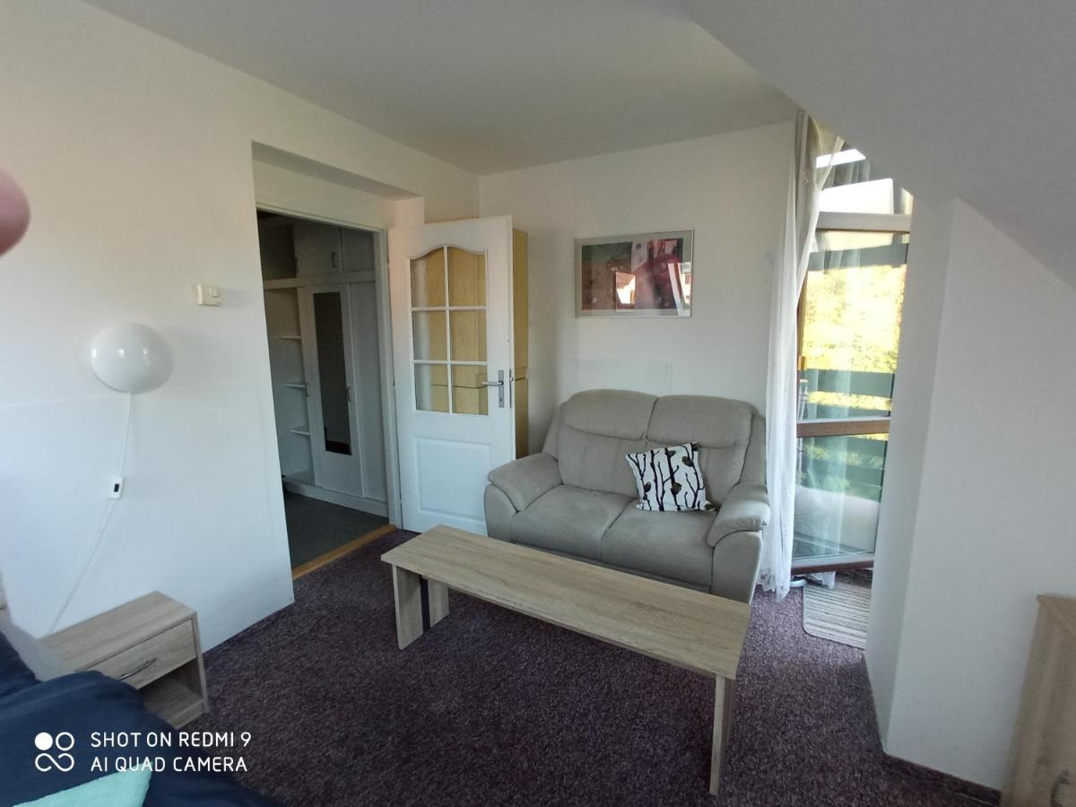 Apartmán Violeta Harrachov Exterior foto